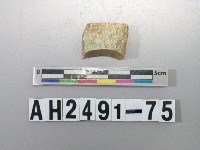 藏品(玉料)的圖片